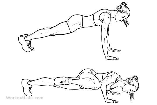 Push Up  Illustrated Exercise Guide